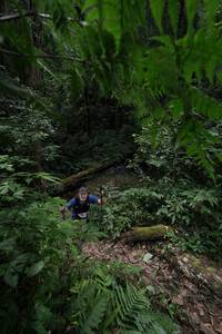 BIB: 
                            <button type="button" onclick="openModal(16029298)" class="btn btn-primary btn-sm float-right btn-popup" data-toggle="modal" data-target=".modal-high-quality">
                        <i class="fas fa-shopping-cart"></i> Add to Cart
                    </button>
                                            <button type="button" onclick="isThisMe(16029298, true)" class="btn btn-success btn-sm float-right btn-popup btn-isme hidden" data-toggle="tooltip" data-placement="bottom" title="นี่คือรูปของคุณใช่ไหม คลิกที่นี่เพื่อเอาเข้าอัลบั้ม">
                        <i class="fas fa-plus"></i> Add to album
                    </button>
                    <button type="button" onclick="isThisMe(16029298, false)" class="btn btn-warning btn-sm float-right btn-popup btn-isnotme hidden">
                        <i class="fas fa-ban"></i> Remove from album
                    </button>